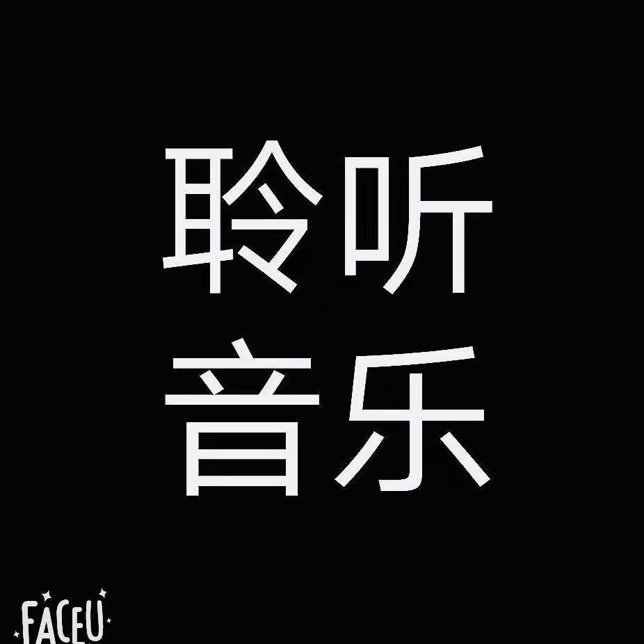 聆听音乐（可购U盘）